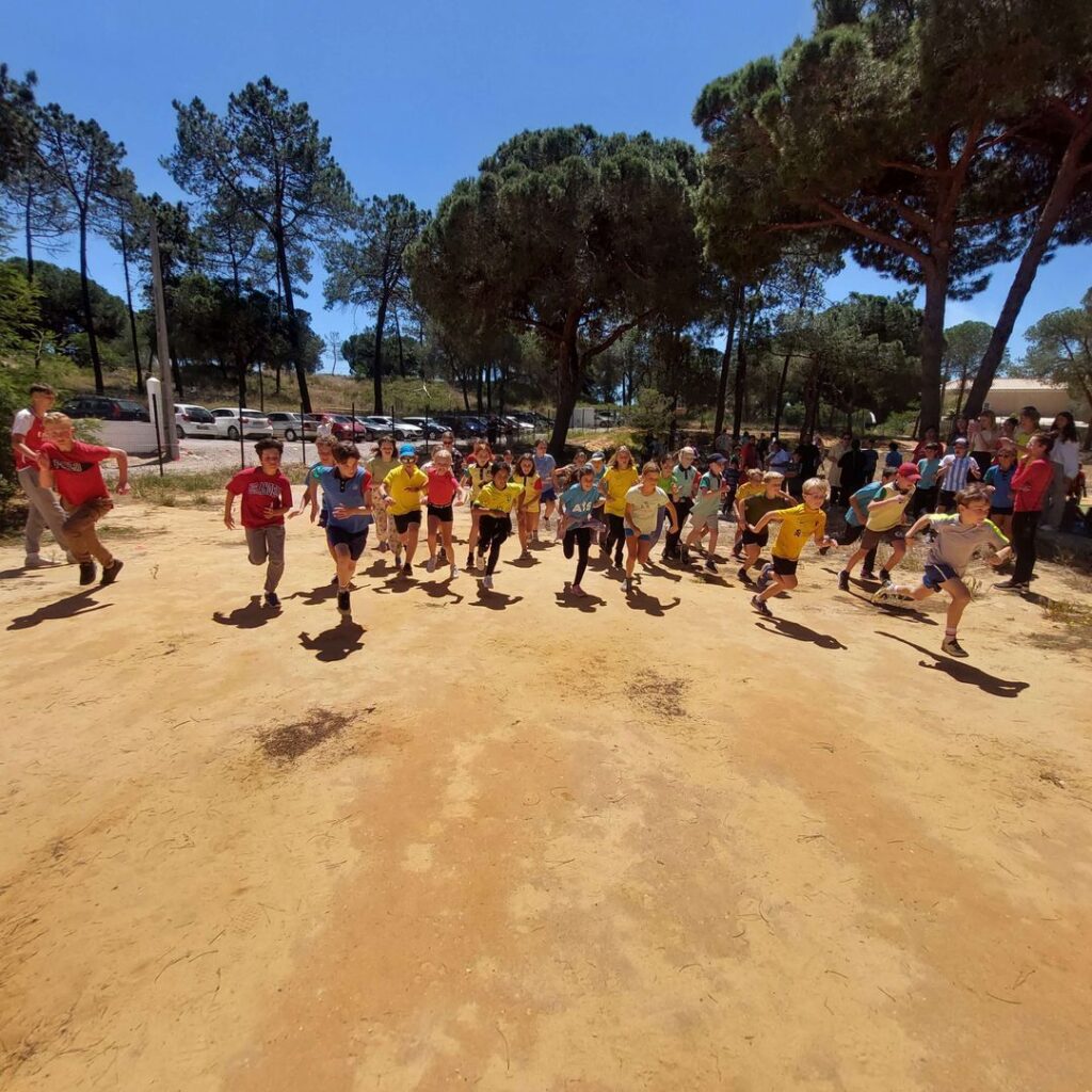 cross country 2024