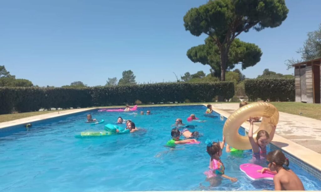 ais swimming at the summer camp