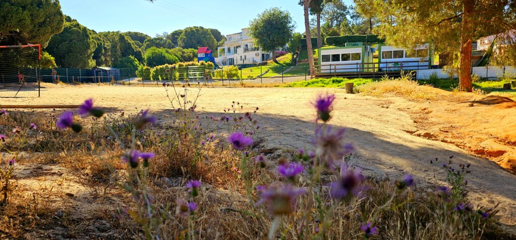 the campus aspire international school algarve